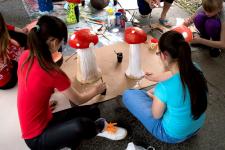 veľkosť: 233.88 kB